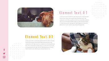 猫犬 ビジネス事業ピピチ_12