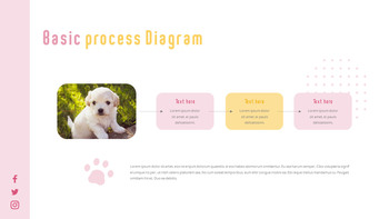 猫犬 ビジネス事業ピピチ_13