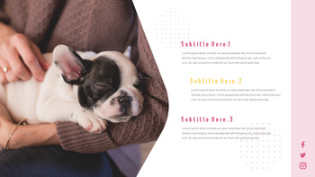 猫犬 ビジネス事業ピピチ_15