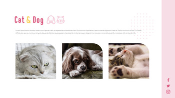 猫犬 ビジネス事業ピピチ_17