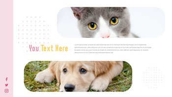 猫犬 ビジネス事業ピピチ_19