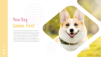 猫犬 ビジネス事業ピピチ_20