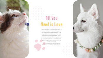 猫犬 ビジネス事業ピピチ_24