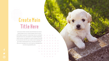 猫犬 ビジネス事業ピピチ_25