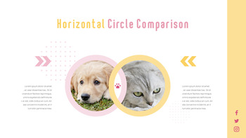 猫犬 ビジネス事業ピピチ_28