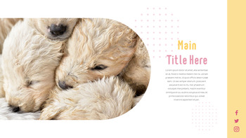 猫犬 ビジネス事業ピピチ_29