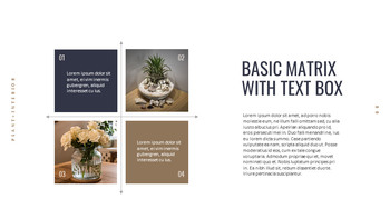 Planterior Google Presentation Templates_08