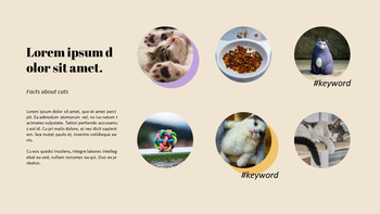 猫を育てる プレゼンテーション_06