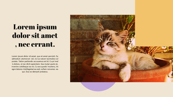 猫を育てる プレゼンテーション_21