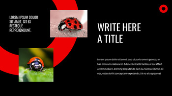 瓢虫 谷歌演讲_14