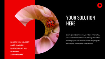 瓢虫 谷歌演讲_16