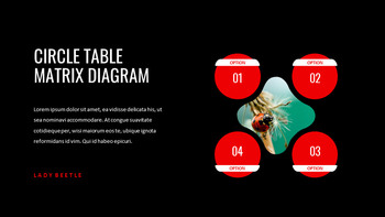 瓢虫 谷歌演讲_23