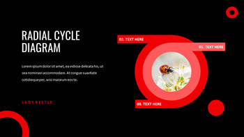 瓢虫 谷歌演讲_30