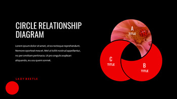 瓢虫 谷歌演讲_33