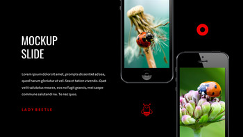 瓢虫 谷歌演讲_39