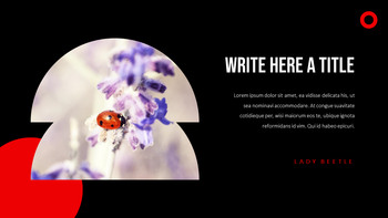 Ladybug Theme Presentation Templates_29