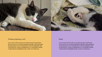 Erhebe eine Katze Kreative Google Slides_17