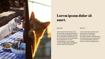 Criar un gato Presentaciones creativas de Google_19