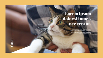 Erhebe eine Katze Kreative Google Slides_24