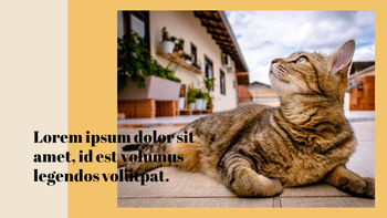 Erhebe eine Katze Kreative Google Slides_27