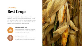 Autumn Crops Google Slides Themes for Presentations_05