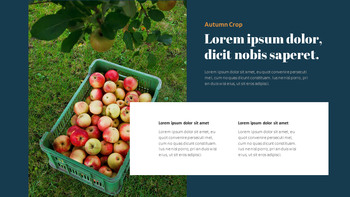 Autumn Crops Google Slides Themes for Presentations_12