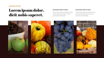 Autumn Crops Google Slides Themes for Presentations_13