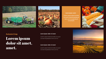 Autumn Crops Google Slides Themes for Presentations_15