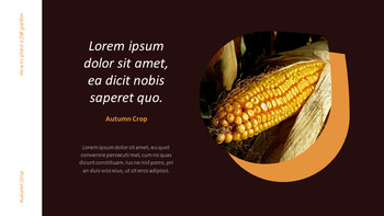 Autumn Crops Google Slides Themes for Presentations_19