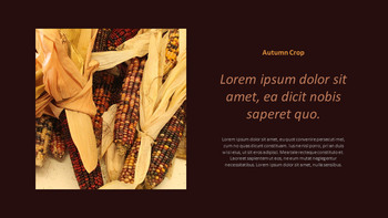 Autumn Crops Google Slides Themes for Presentations_21