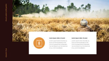 Autumn Crops Google Slides Themes for Presentations_24