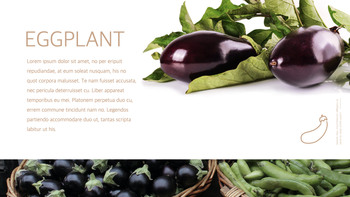 Natural food Theme Keynote Design_22