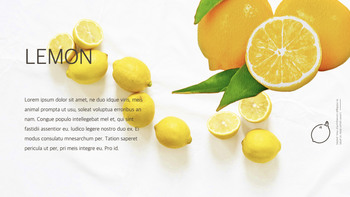 Natural food Theme Keynote Design_26