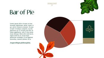 秋季旅行 Google文档PowerPoint._35