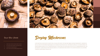 Dehydrated Foods PowerPoint Presentation Design_25