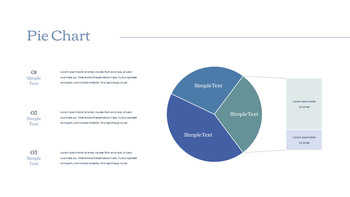 Hair Loss Treatments Business plan PPT Templates_31