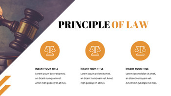 law Google Slides Templates for Your Next Presentation_11