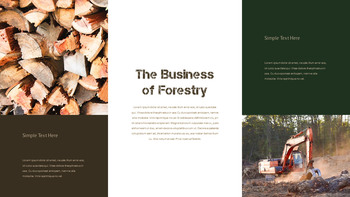 林业事业 PowerPoint背景_06
