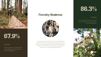 林业事业 PowerPoint背景_18