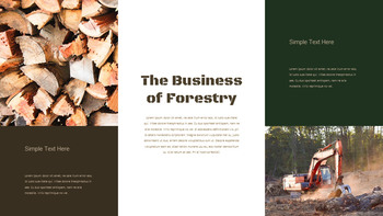 Forestry Business Presentation Google Slides Templates_06