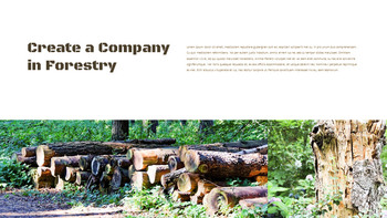 Forestry Business Presentation Google Slides Templates_10