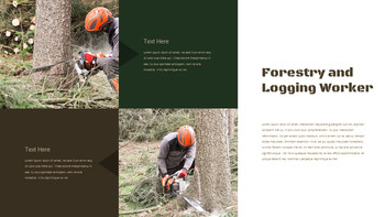 Negocio forestal Plantillas de Presentaciones de Google Slides_15