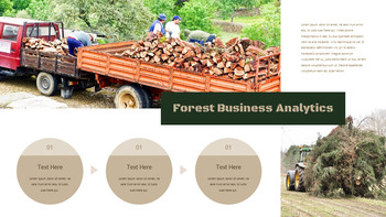 Negocio forestal Plantillas de Presentaciones de Google Slides_19