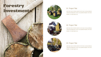 Forestry Business Presentation Google Slides Templates_21