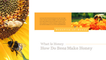 Benefits of Honey Business plan PPT_24