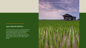 农业 优雅的ppt模板_04