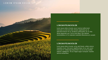 农业 优雅的ppt模板_05