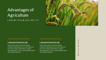 农业 优雅的ppt模板_06