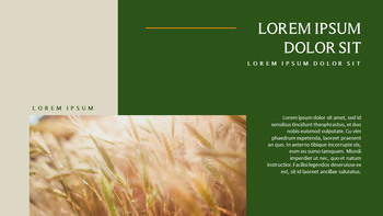 农业 优雅的ppt模板_07