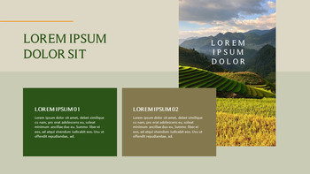 农业 优雅的ppt模板_11